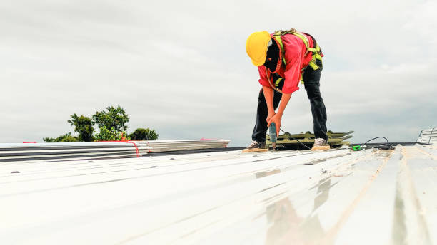 Steel Roofing in Canby, OR